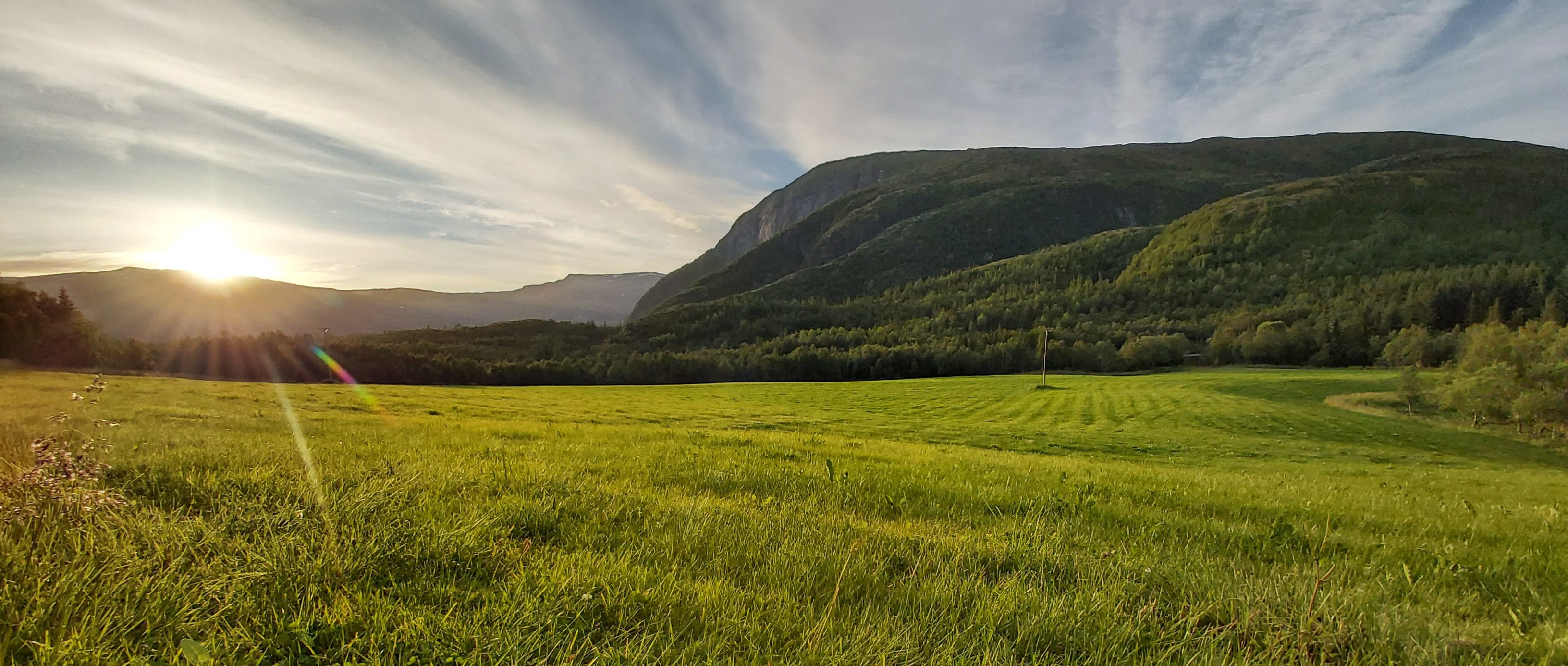 Bardal