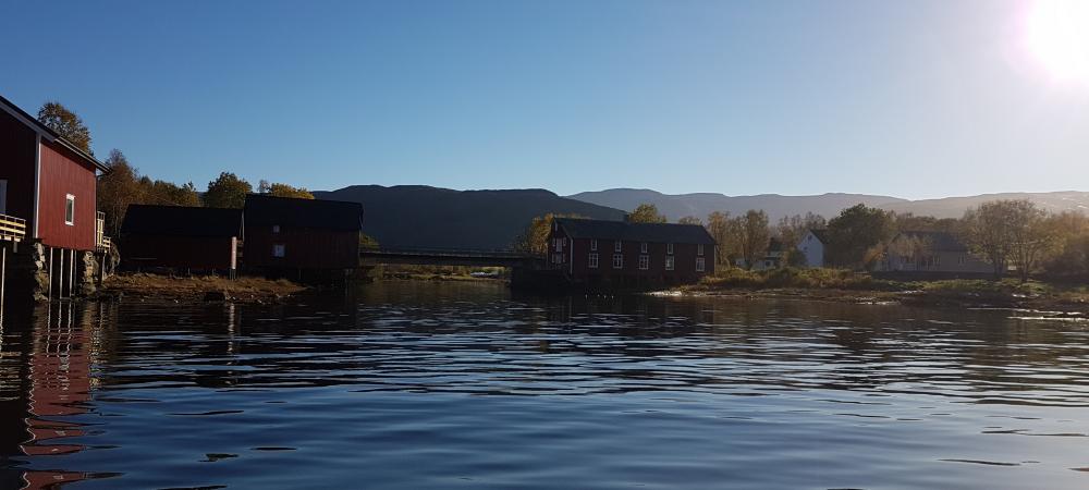 Utfløttarstemne 2023
