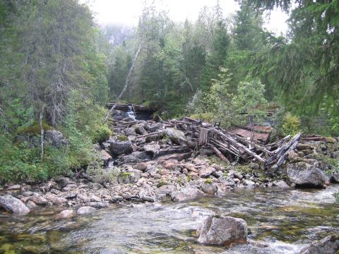 saghuset