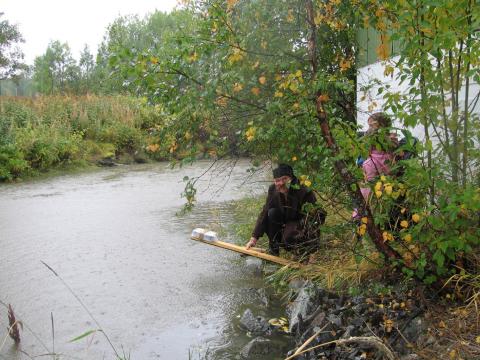 skatten er funnet_49_1